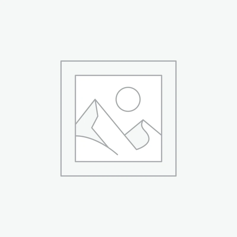 Vidéoprojecteur EPSON EB-FH54